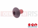 SUZUKI DF125E Y (2000) Screw