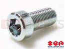 SUZUKI PE175 D (1983) Screw