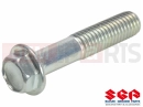 SUZUKI DL1000A L4 (2014) V-Strom (E21) Screw