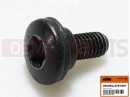 KTM  Screw (spec)