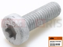 Screw (M8x25)