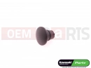 KAWASAKI 2018 CAP,DUMMY