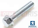 FLANGE SCREW M6X1,00-28
