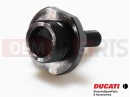 DUCATI 2013 HYPERSTRADA MOBILE TENSIONER PIN