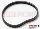 DUCATI 2021 XDiavel BELT