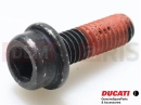 DUCATI 2024 Monster SP Csavar