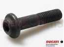 DUCATI 2017 Monster 1200 Screw (spec)