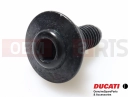 DUCATI 2016 Scrambler Classic Screw