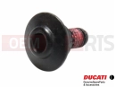 DUCATI 2022 Monster + 5 pc - Screw
