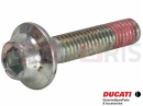 DUCATI 2023 Panigale V4 Schraube (spec)