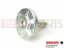DUCATI 2019 Multistrada 1260 Enduro Schraube (spec)