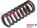 DUCATI 2023 Multistrada V4 Pikes Peak Spring