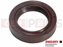 DUCATI 2022 Monster + SEAL RING