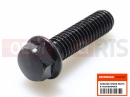 HONDA DAX 125 (ST125AP) 2022 Screw