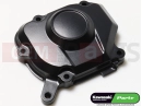 KAWASAKI 2016 COVER,PULSER