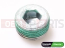 KAWASAKI 2008 Plug