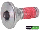 KAWASAKI 2017 Screw (8x23)
