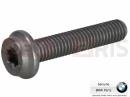 BMW Motorrad BMW 2017 C-Models C evolution (0C03) Vis (Torx)