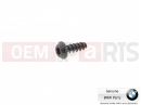 Screw (Torx)