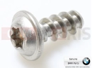BMW Motorrad BMW 2020 C models C evolution (0C03) Wkręt (Torx)