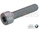 BMW Motorrad BMW 2015 C-Models C evolution (0C03) Screw (ISA)