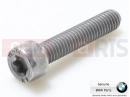BMW Motorrad BMW 2020 C models C evolution (0C03) Csavar (Torx)