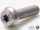 BMW Motorrad BMW 2014 C-Models C evolution (0C03) Csavar (Torx)