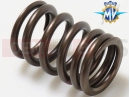 MV Agusta 2004 F4 AGO VALVE OUTER SPRING (EX)