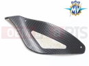 MV Agusta Brutale 910 S CHAIN COVER, LOWER