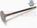 MV Agusta Dragster 800 Valve (EX)