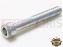 Harley-Davidson 2016 TRIKE FREEWHEELER  - FLRT 4 pc - HEX SOCKET HD CAP SCREW
