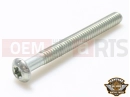 Harley-Davidson 2006 SOFTAIL SOFTAIL STANDARD  - FXST 4 PC - Schraube
