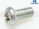 Screw