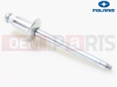 RIVET