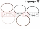 Triumph 1996 TROPHY 29156 > Segment