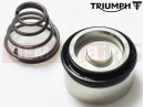 Triumph 1994 TRIDENT Piston set