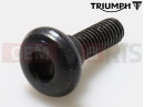 Triumph 1995 TRIDENT Screw, M6 x 20