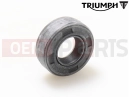 Triumph 1998 TRIDENT Brtva