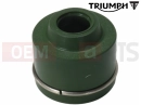 Triumph 2002 TT600 Seal, 4mm Stem
