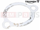 Triumph 1992 TRIDENT Dichtung - Kettenspanner