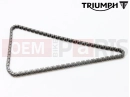 Triumph 2021 TRIDENT 660 Ventilsteuerkette