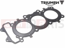 Triumph 2021 TRIDENT 660 Joint culasse