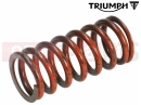 Triumph 2020 Tiger 800 XRT Spring, Clutch