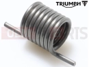 Triumph 2007 SPEEDMASTER CARBS Spring return