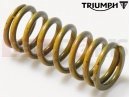 Triumph 2018 SPRINT GT Rugó