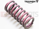 Triumph 2020 Speed Triple S Clutch spring