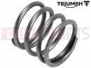 Triumph 2011 SPRINT GT Spring, Comp, Selector Mech