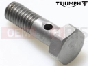 Triumph 2002 THUNDERBIRD Bolt, Banjo, M6 x 20