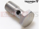 Triumph 2017 THRUXTON Bolt, Banjo, M12