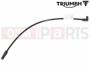 Triumph 2013 THUNDERBIRD Pipe, Map Sensor